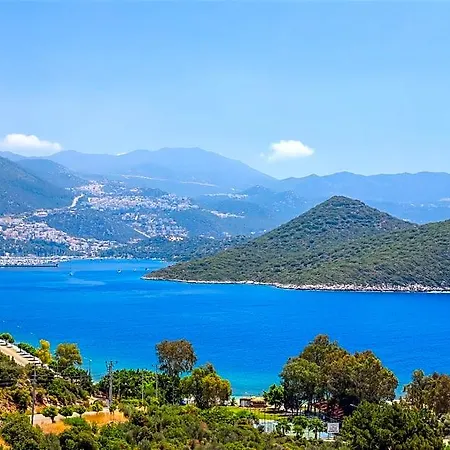 Otel Alina 3*