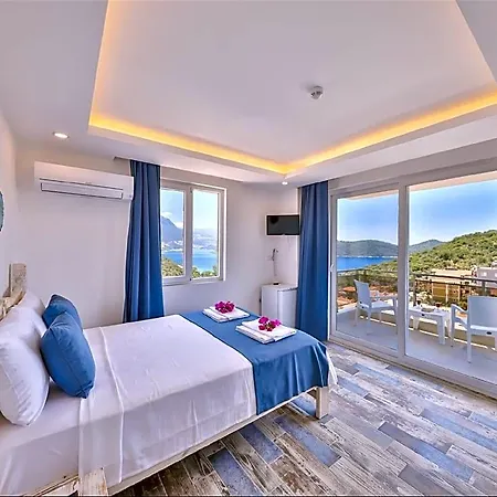 Alina فندق كاس