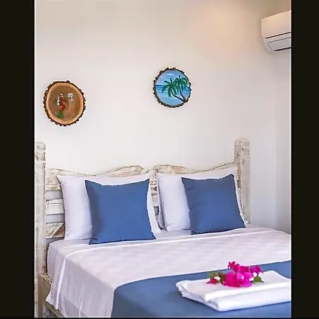 Alina Otel